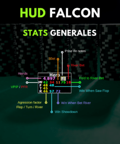 HUD PT4 Falcon Spécial SnG Jackpot - stats generales